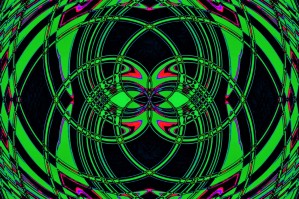 The Night Bird I